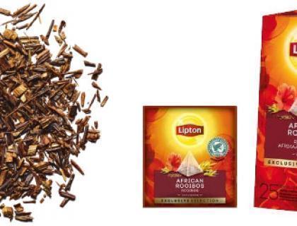 https://www.chateaudeau.com/sites/default/files/styles/wng_blogs_full/public/website_ng/content/blog/banniere_blog_rooibos_0.jpg?itok=Ge8Eo6-y